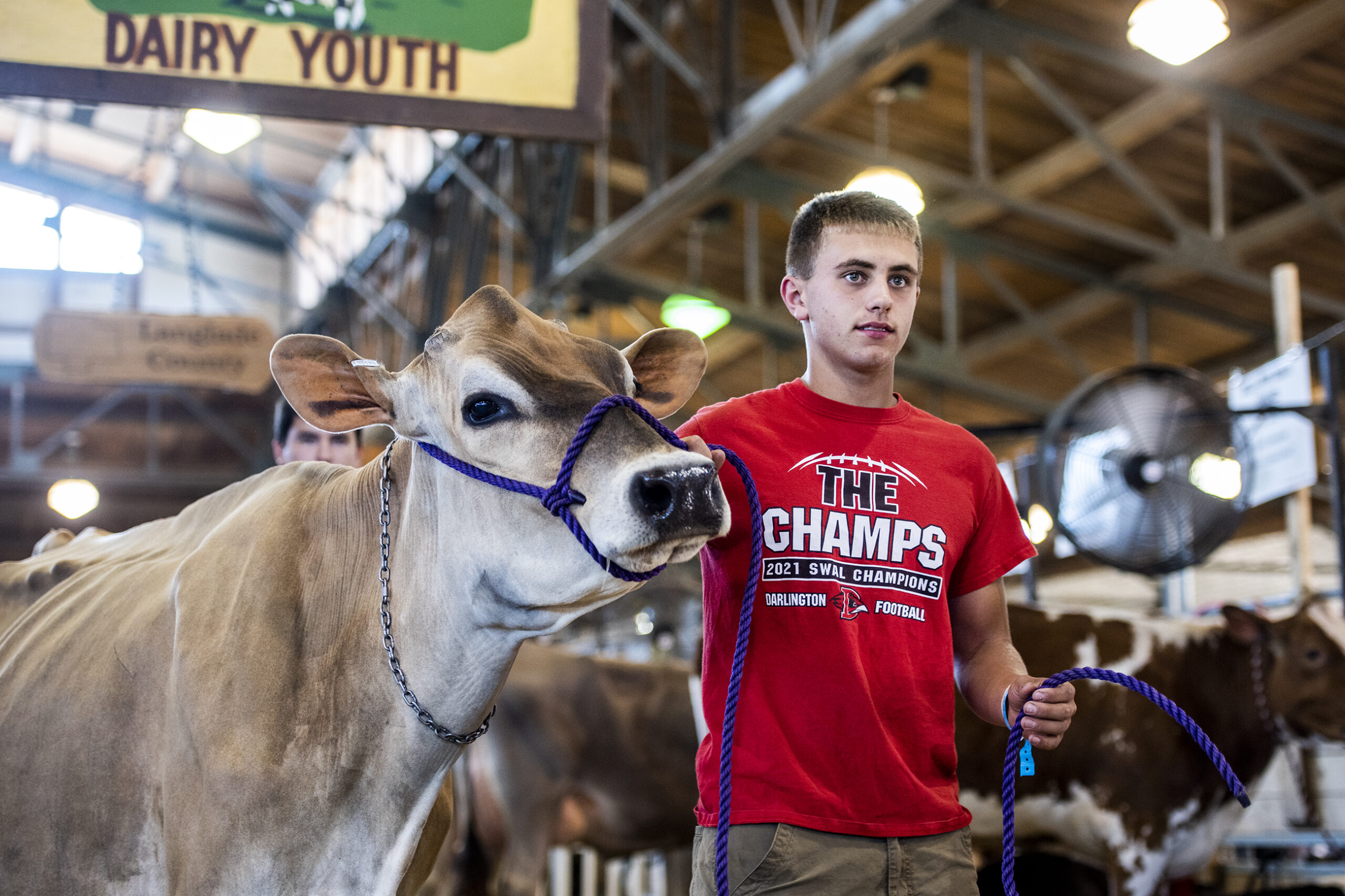 A boy in a red shirt walks a light brown cow inside a barn.