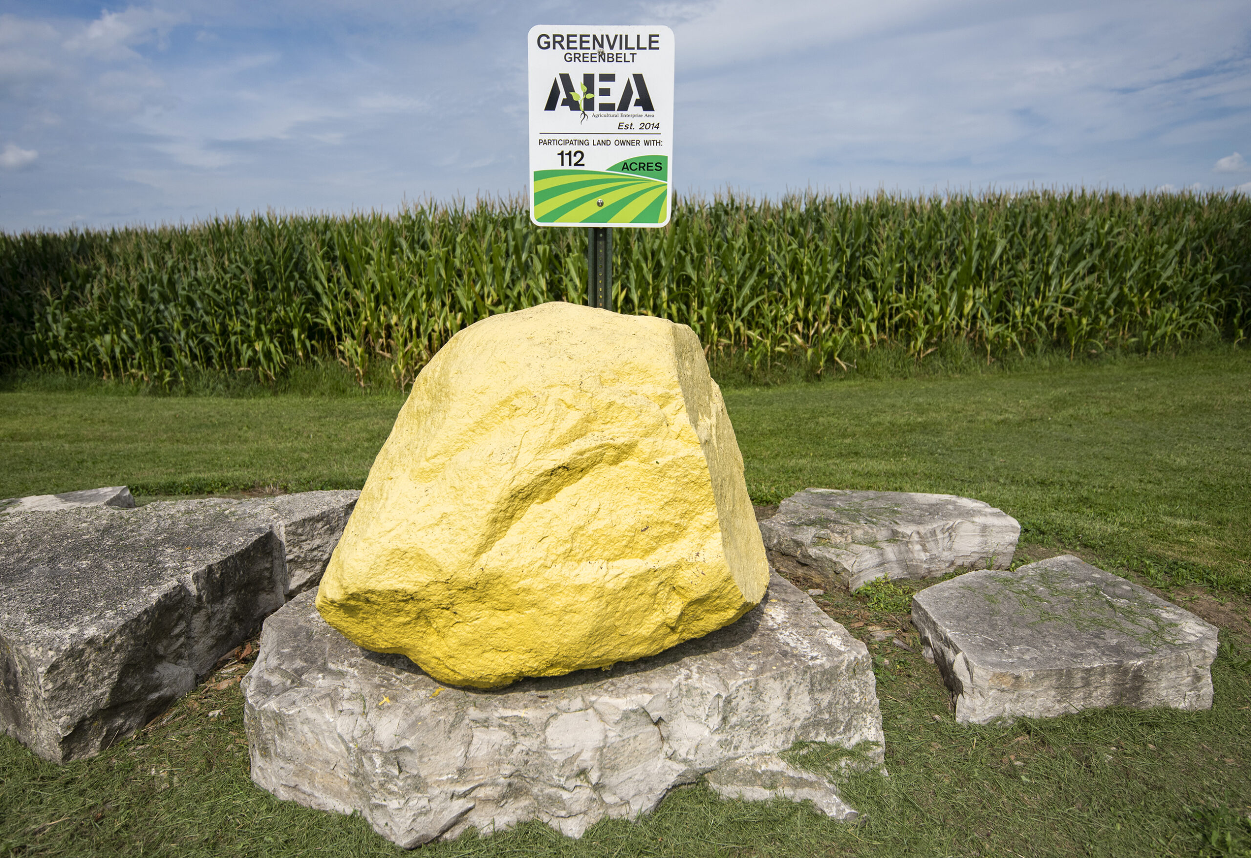 A large yellow boulder sits in front of a corn field