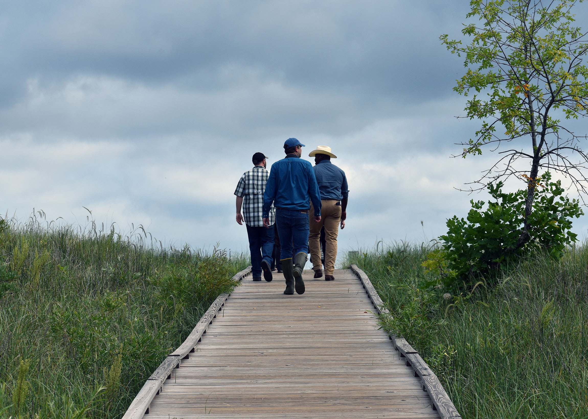 Bird walk on Wisconsin Point