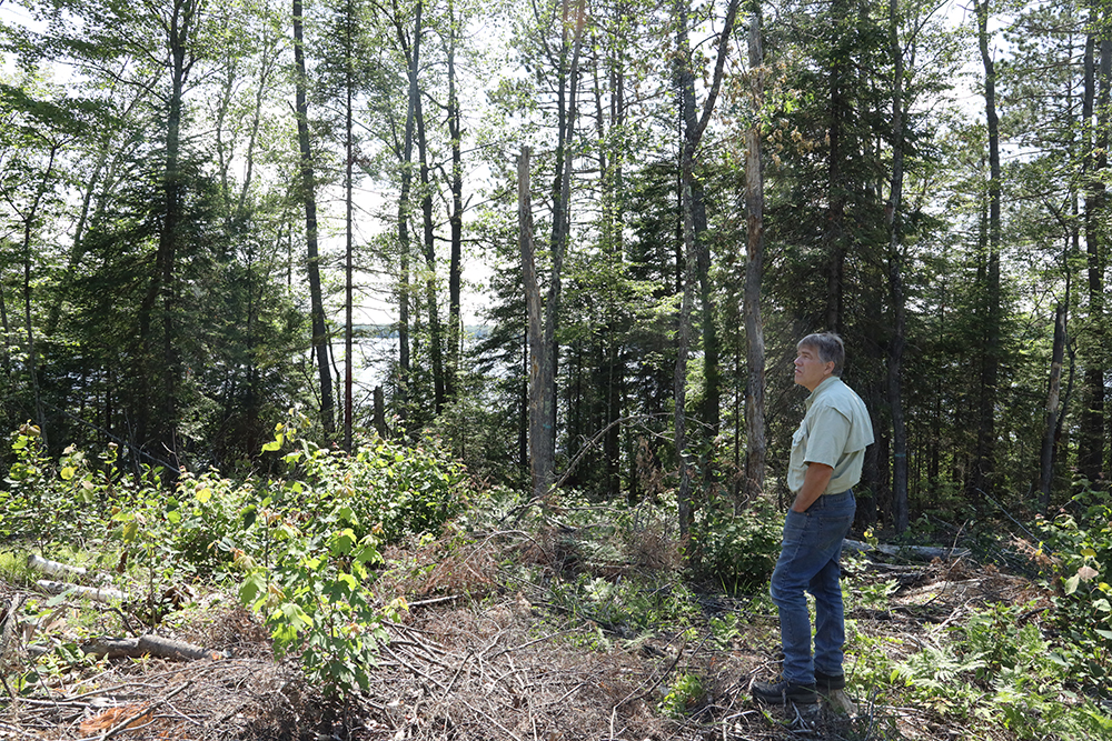 John Schwarzmann, a retired Wisconsin state forester, walks through the Northern Highland-American Legion State Forest near the shoreline of Upper Gresham Lake