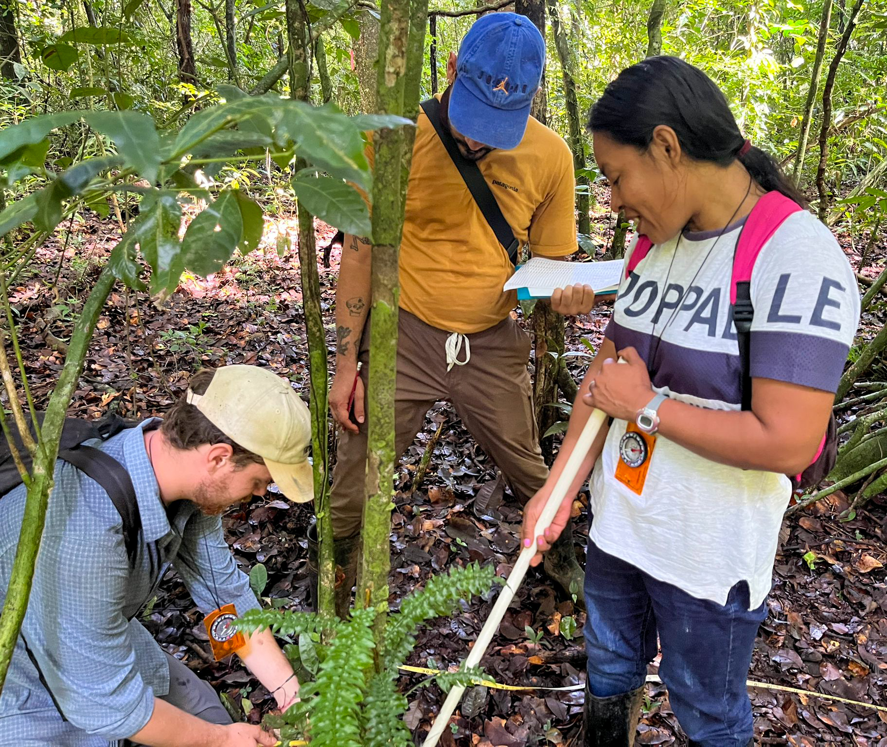 Gabriel Dally, an undergraduate student at Marquette university, Antimo Perez, and Delisa Membache, a project assistant, measure the location of certain trees and vines on Barro Colorado Island.