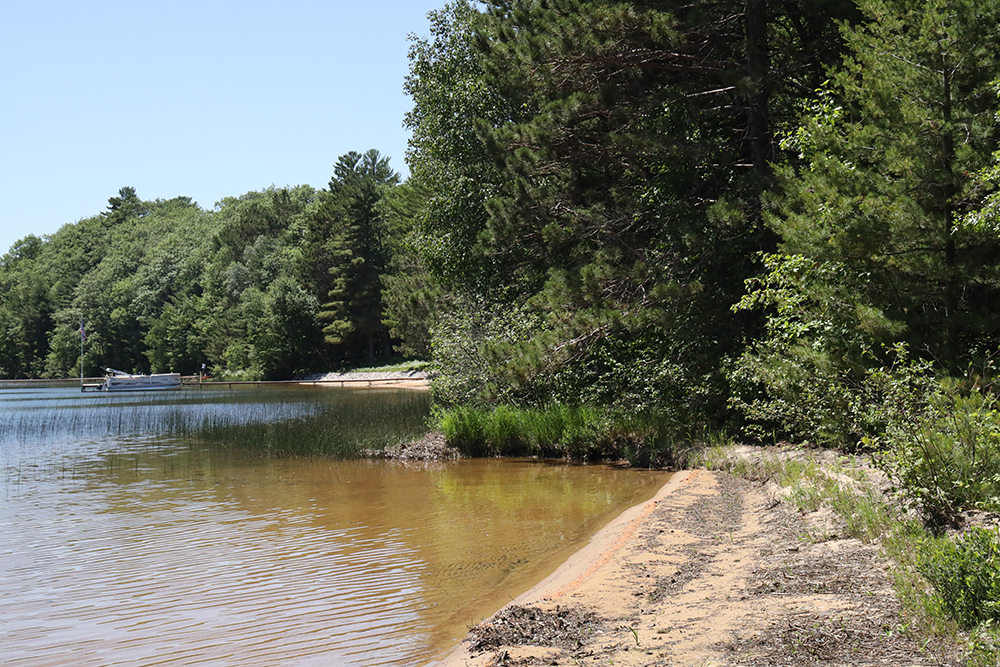 The forested shore of White Sand Lake in Vilas County, Wis