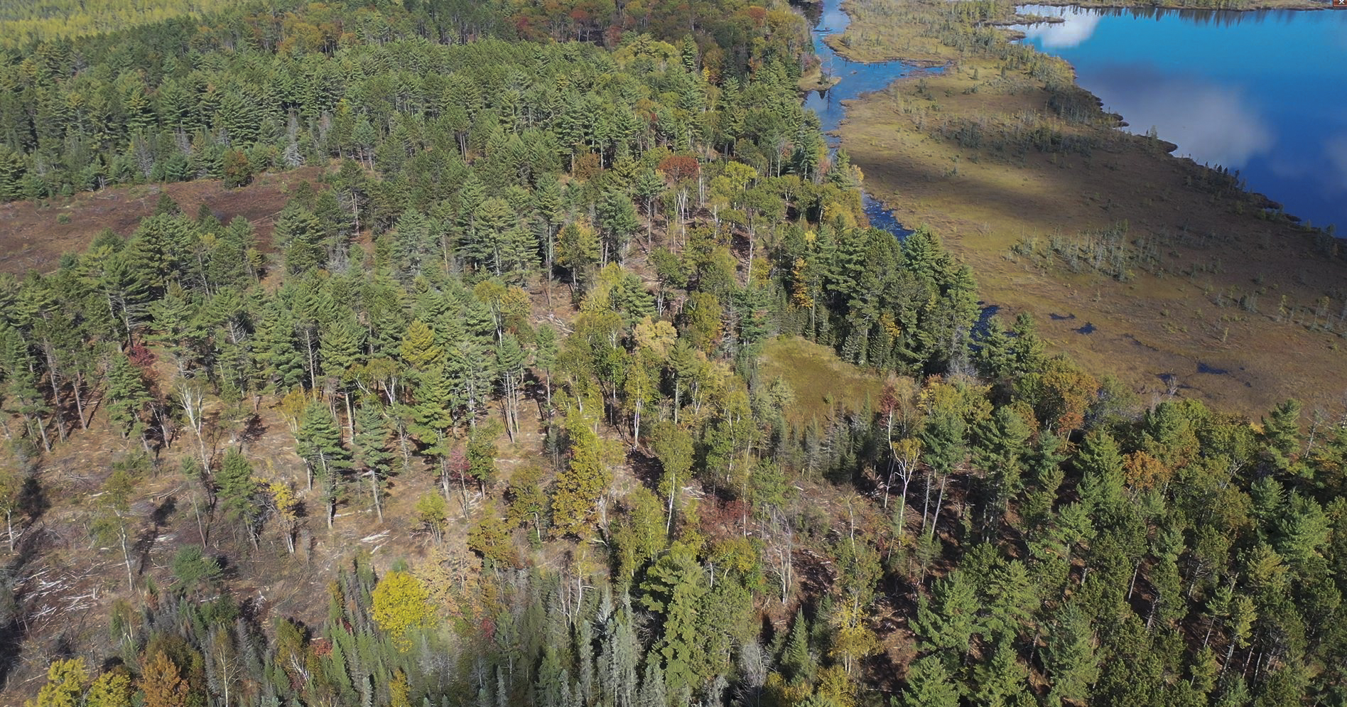 A stretch of the Northern Highland-American Legion State Forest along Whitney Lake in Vilas County