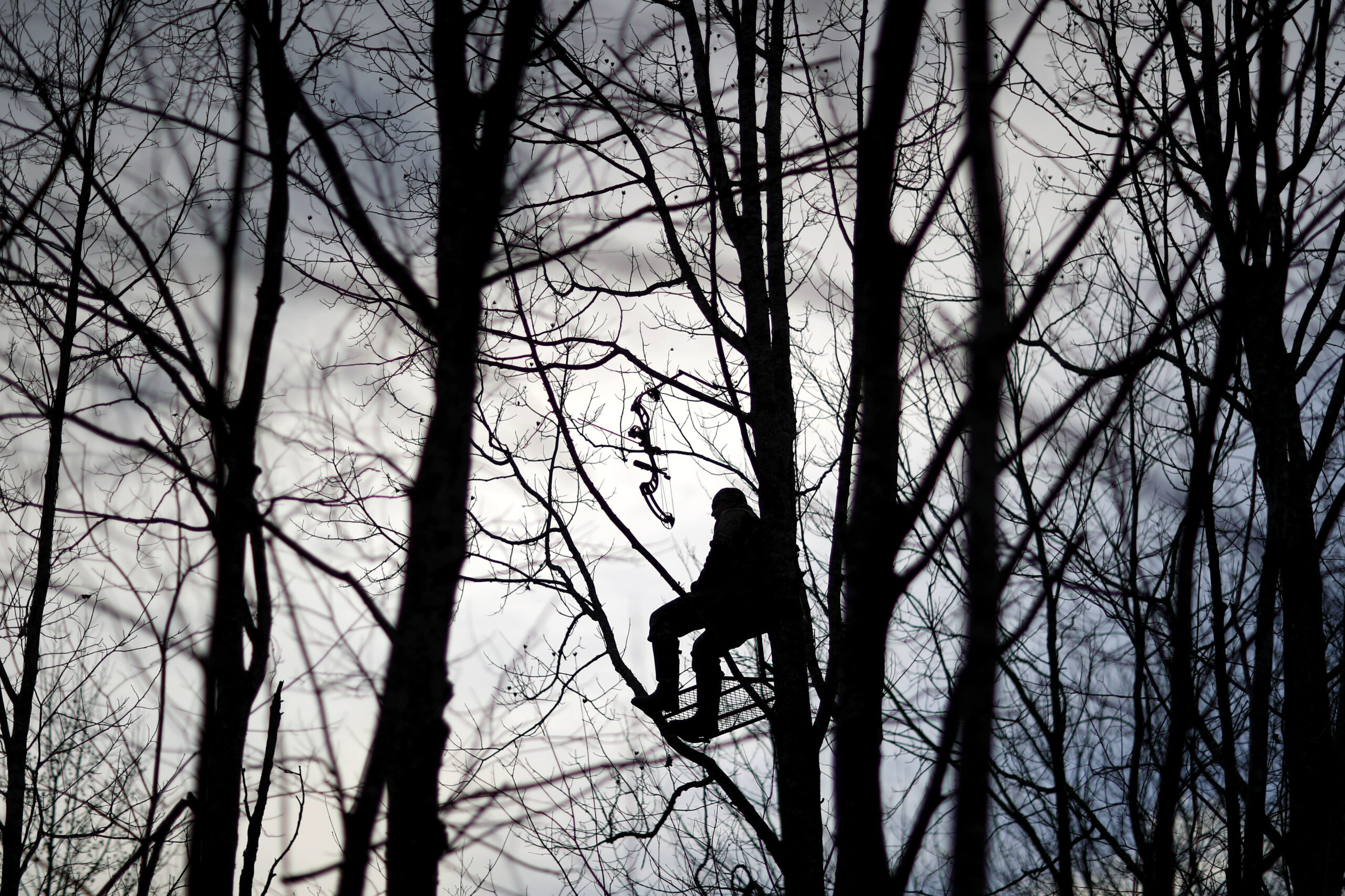 Dale Ferguson sits in a tree while hunting for deer with a bow and arrow in Isonville, Ky.