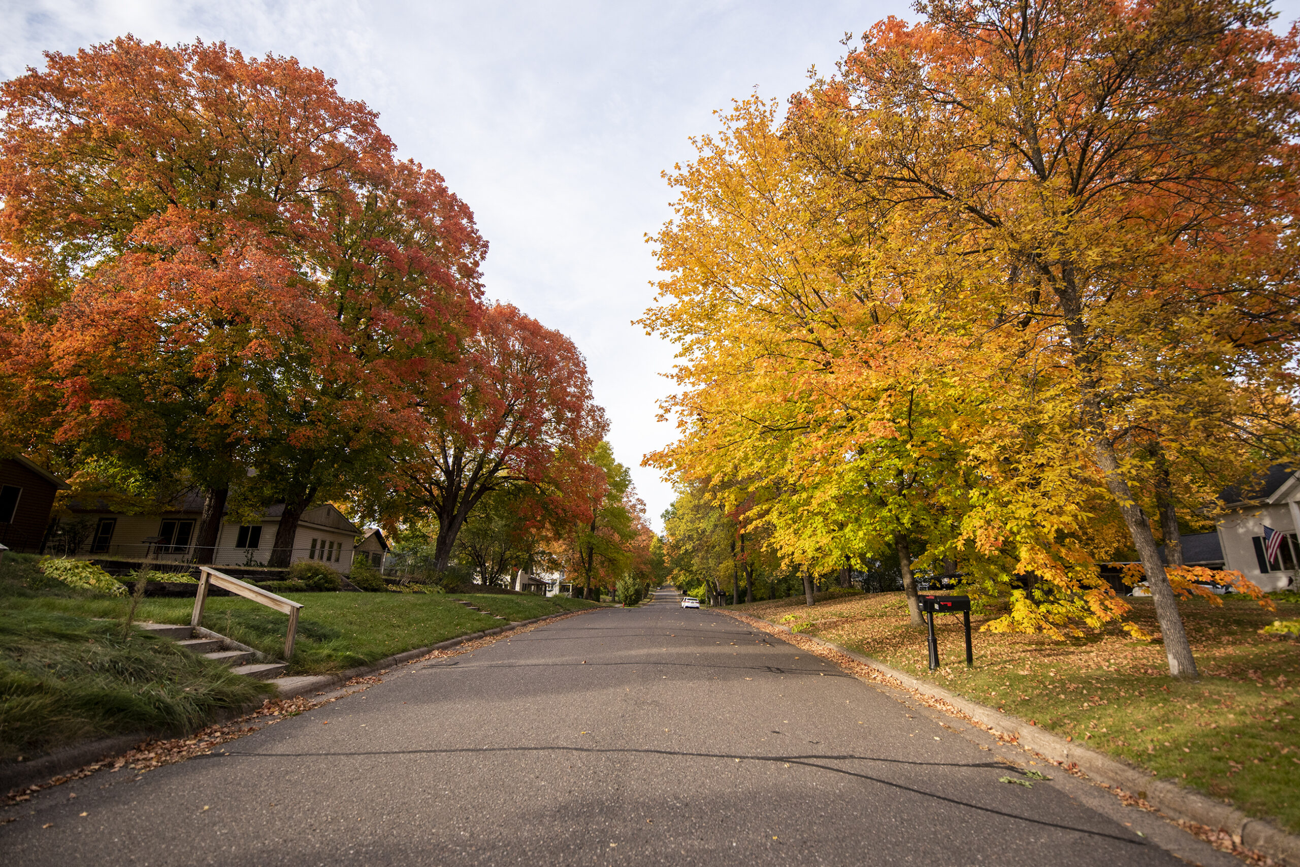 Trees with yellow and red leaves are seen along a street.