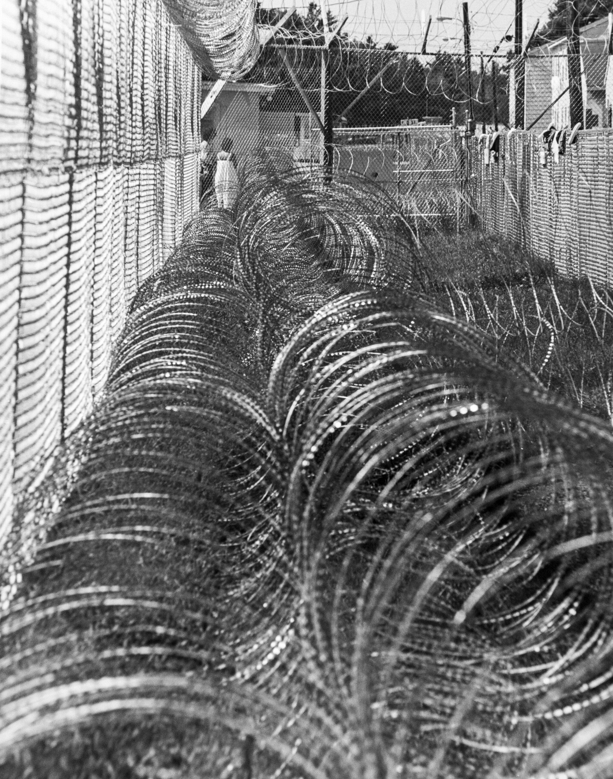 Concertina wire