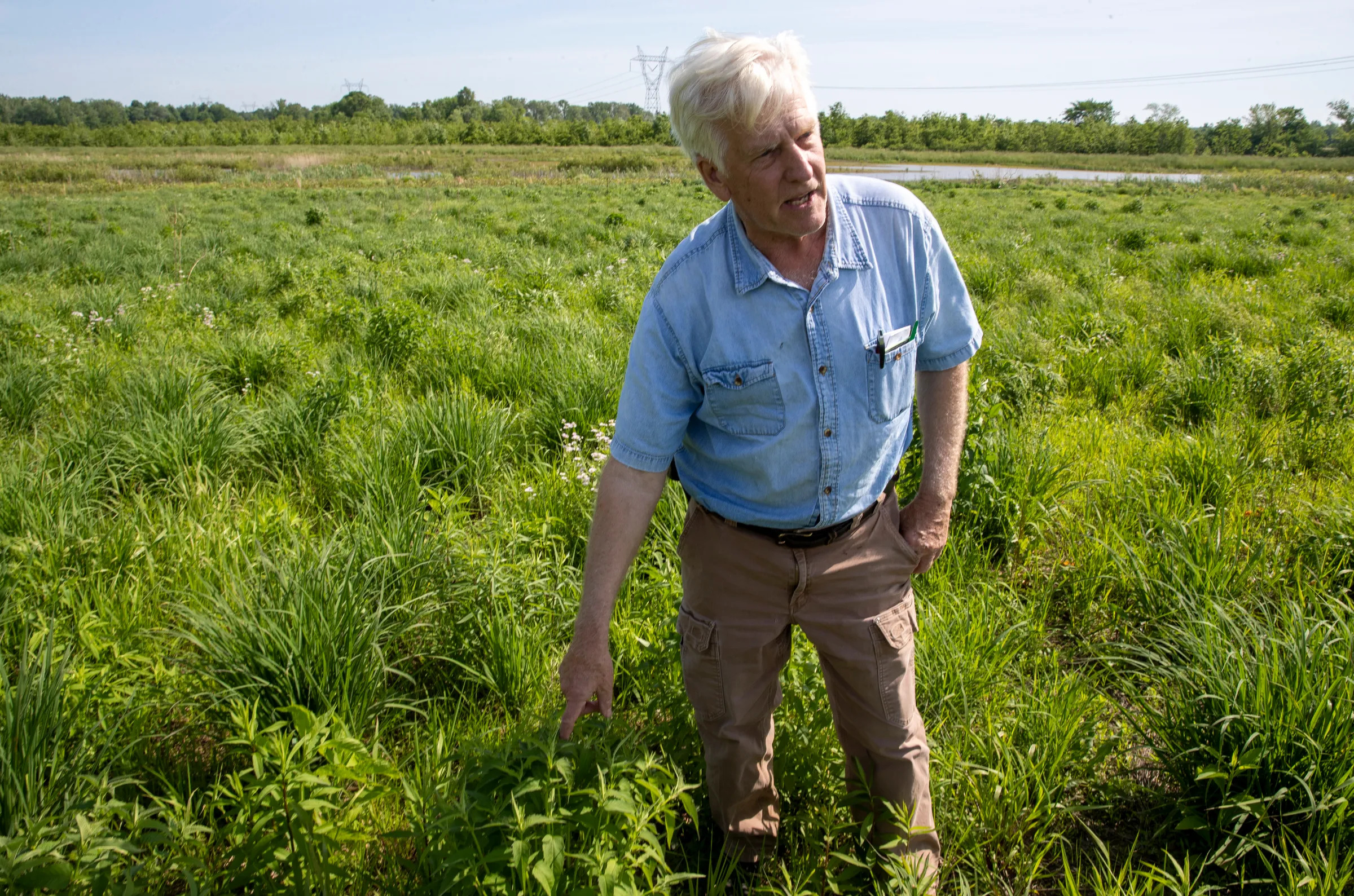 Ray McCormick shows off some native plants on wetlands