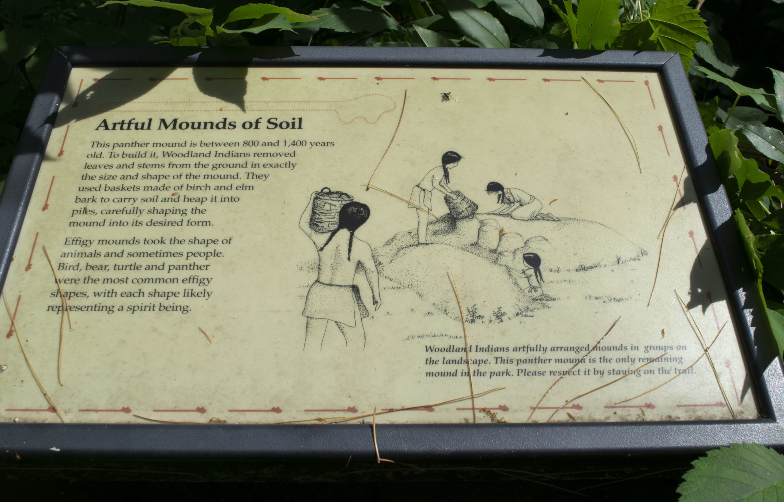 This sign at Lake Wissota State Park explains to hikers along the Lake Trail that this is the site of a sacred effigy mound