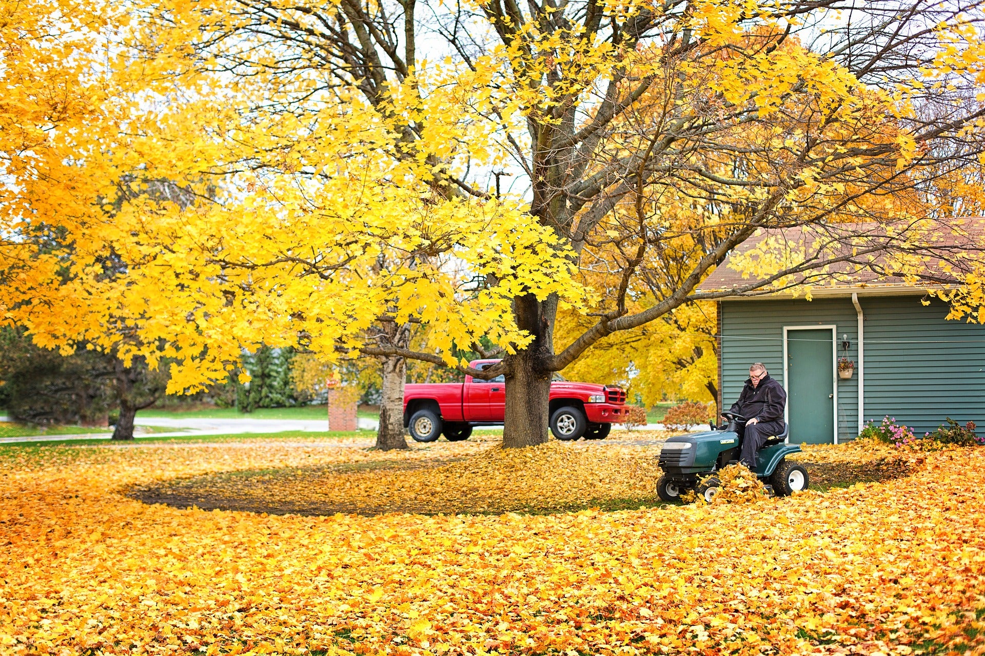 A man picks up leaves from a tree with his lawnmower