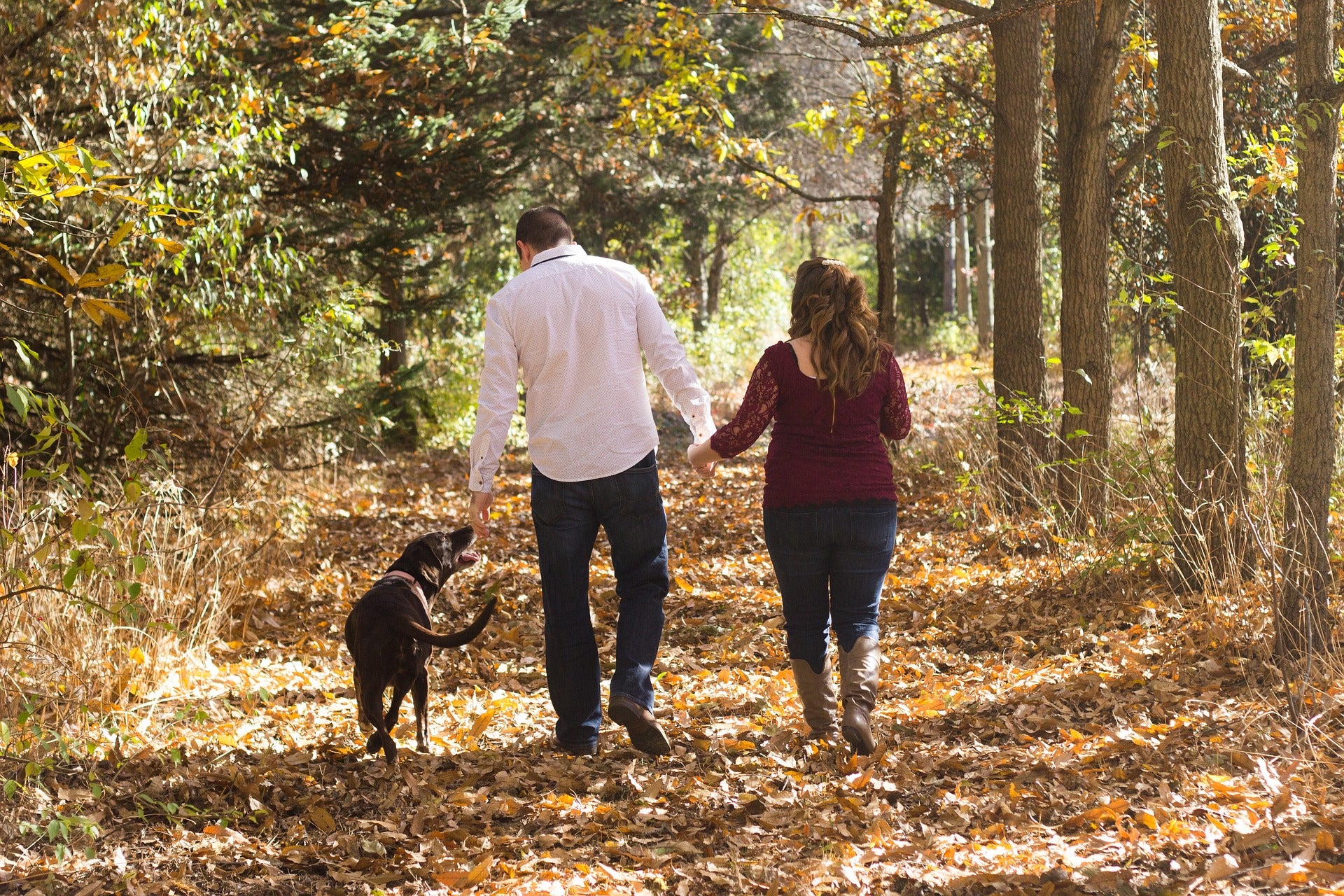 A dog walks next to its two owners in a forest