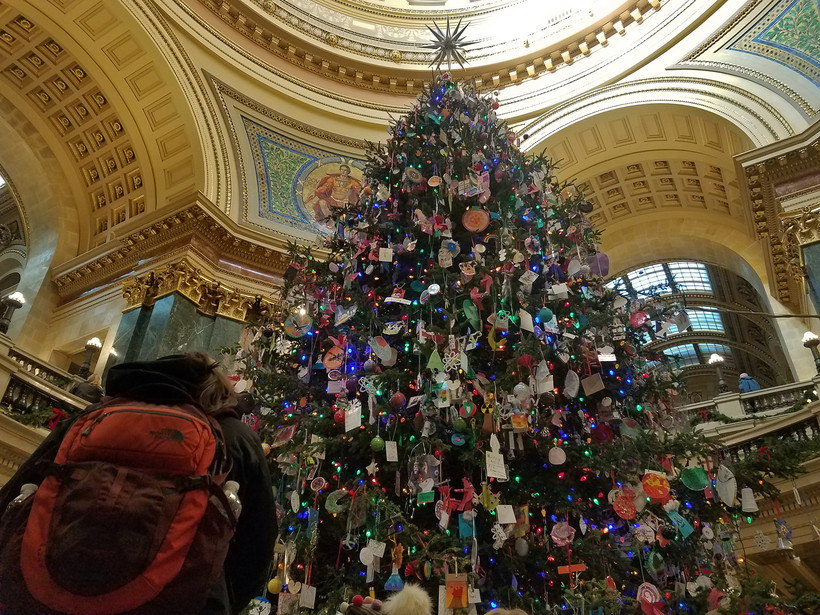 Wisconsin state Capitol Holiday Tree