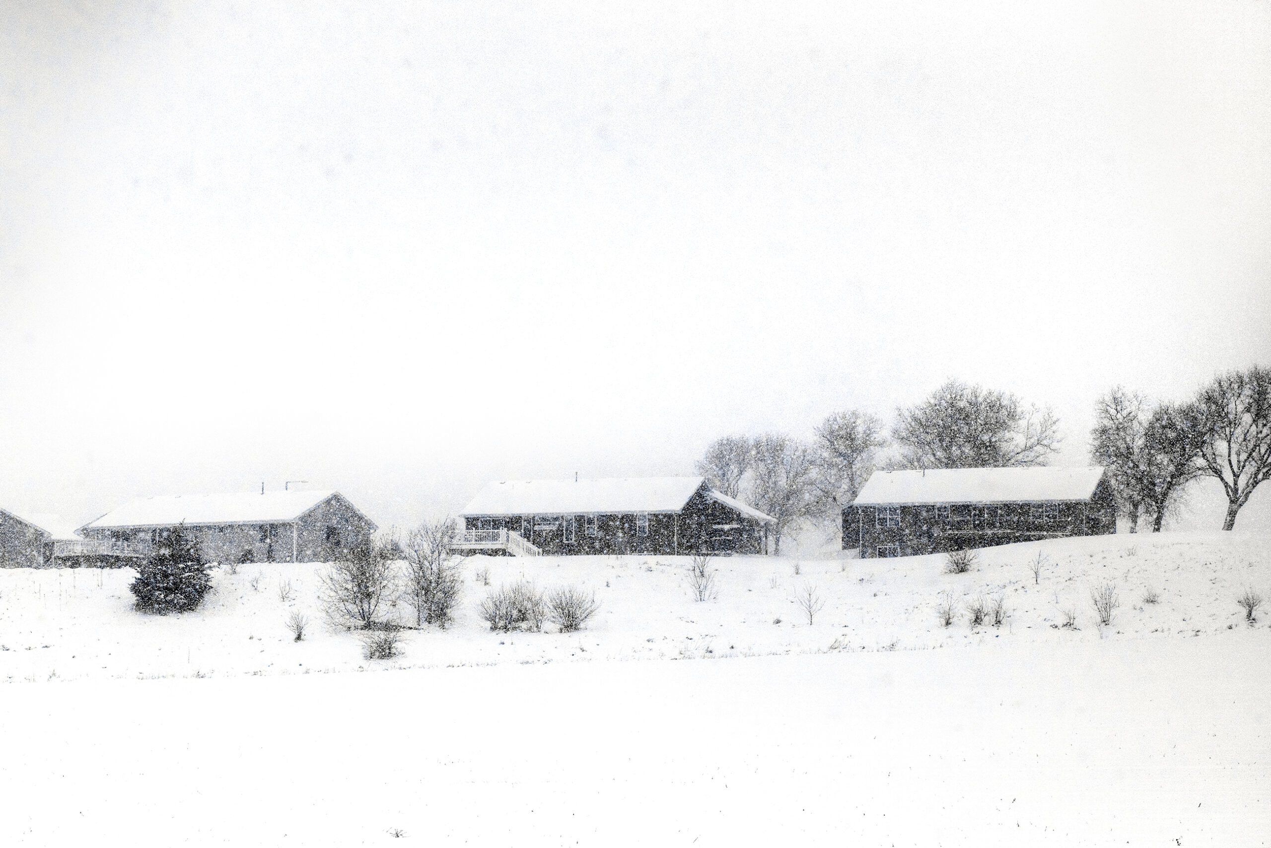 Three homes and trees can be seen in the distance through a heavy snowfall.