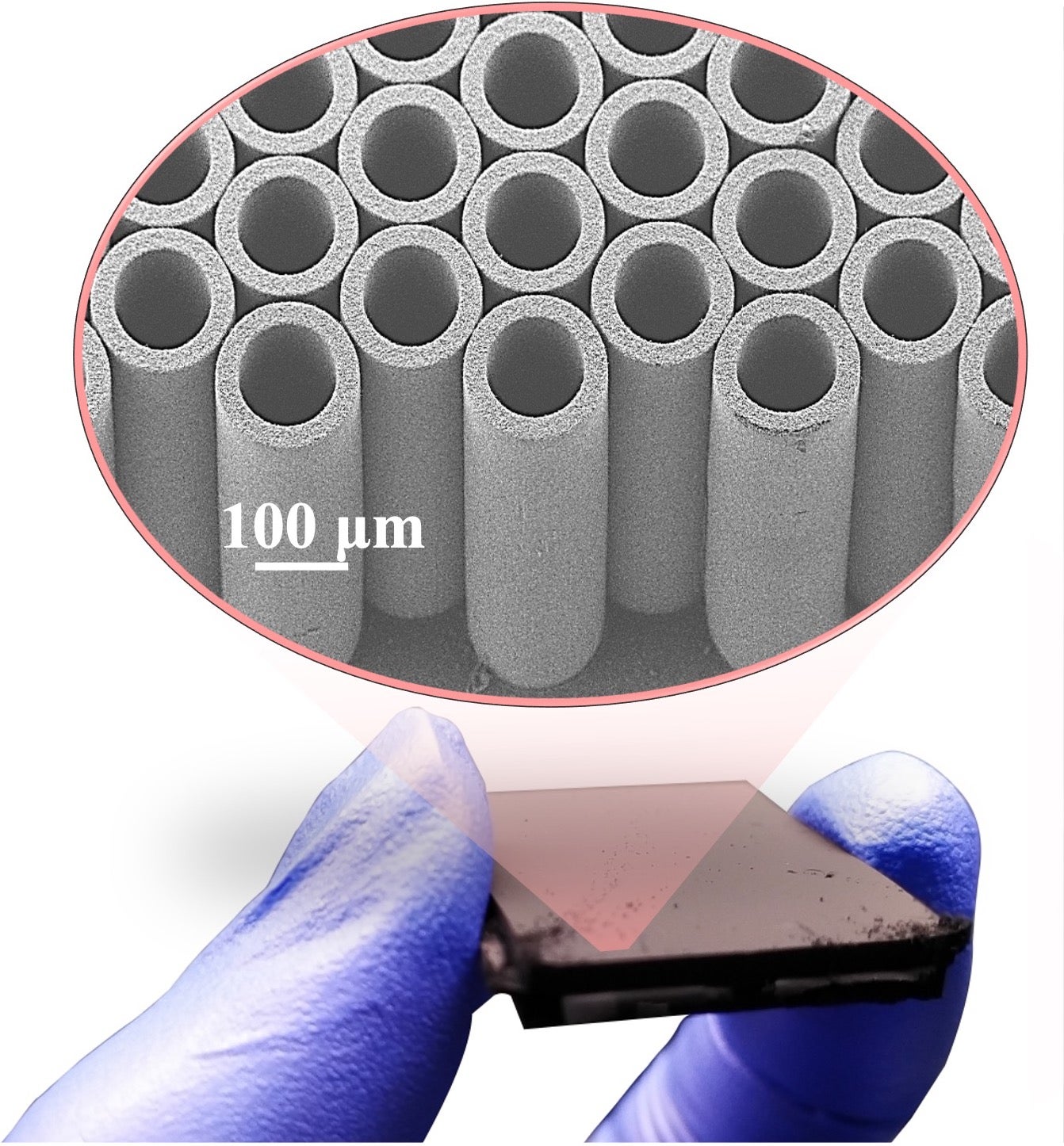 carbon nanotubes