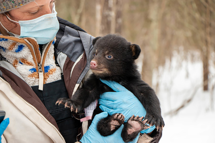 Jennifer Price Tack holding bear cub