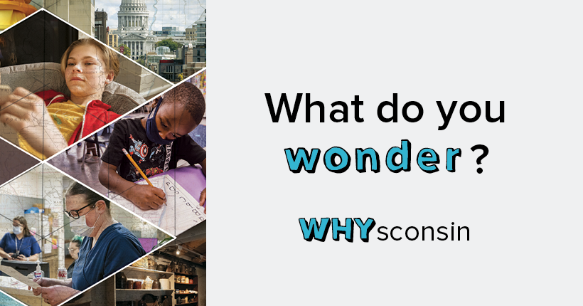 A WHYsconsin graphic with images of people on the left and text on the right that says, "What do you wonder?"
