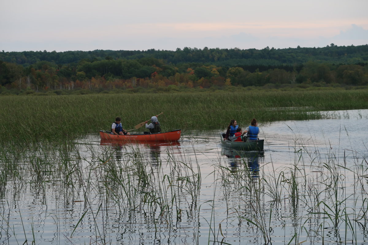 wild rice