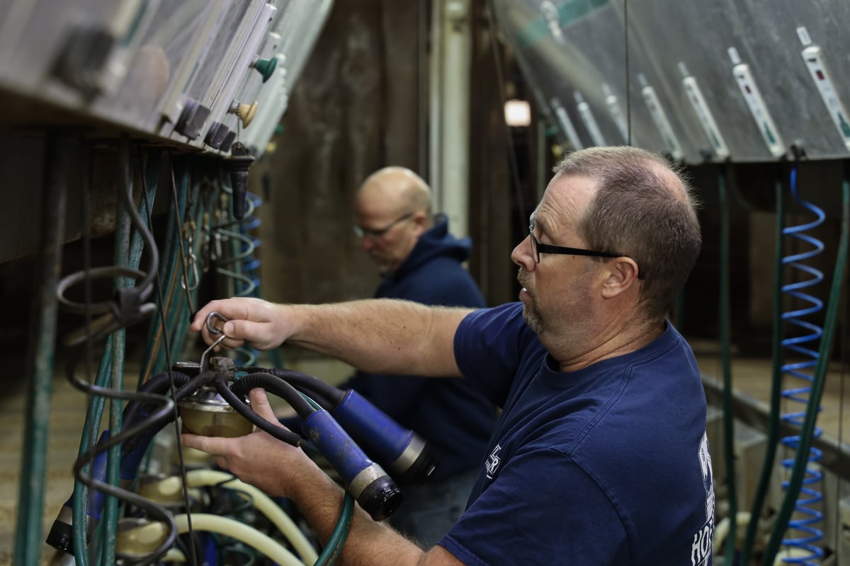 John Hoefler and Andy Ferguson milking cows