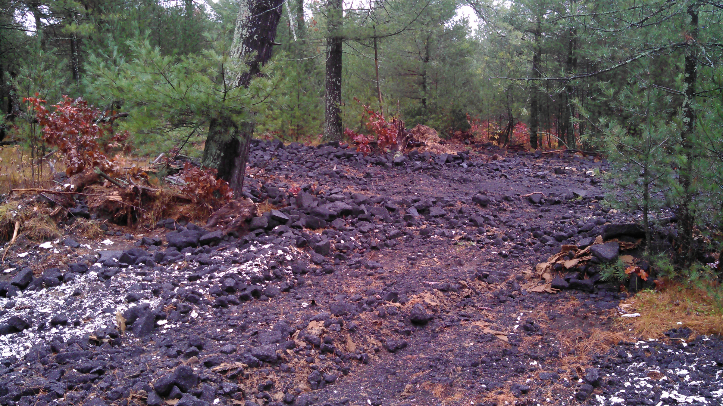 Improperly disposed asbestos-containing material litters Zach Skrede's property