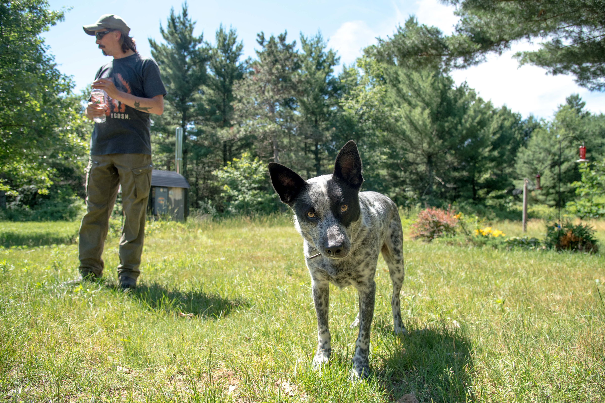 Ned — and his owner Zach Skrede — stroll on their Adams County, Wis., property