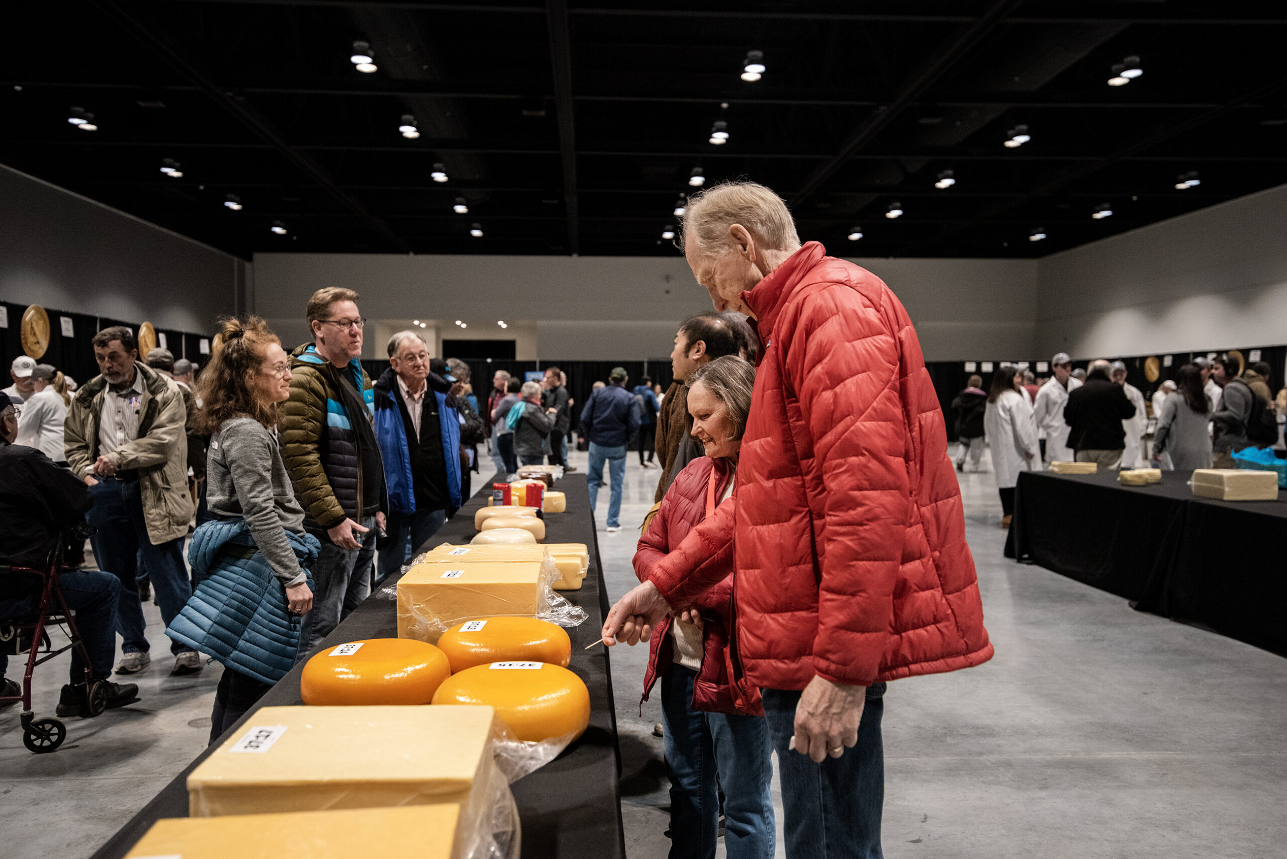 Yellow and white cheeses are displayed on a table as attendees take a look.