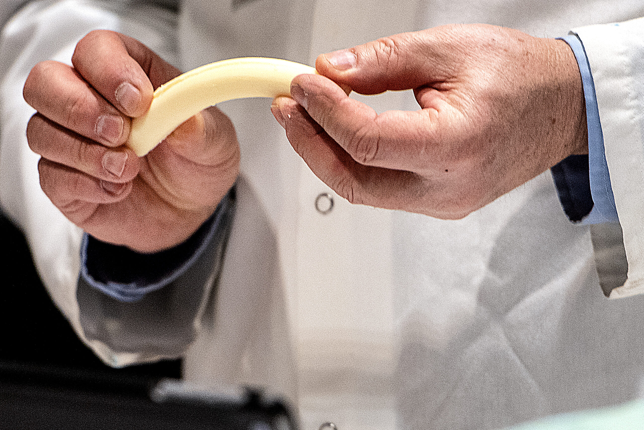 A white piece of cheese bends as a judge holds it.