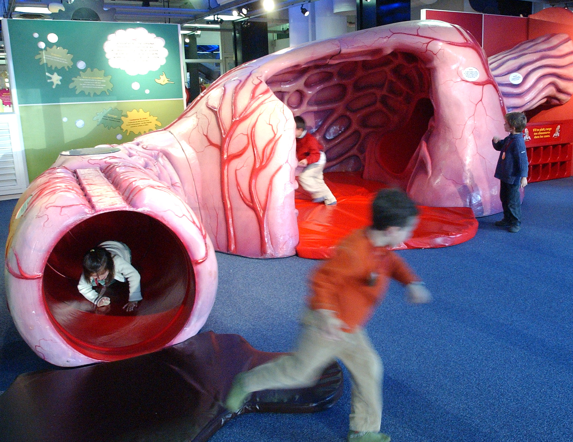 Children play in a largened esophagus model