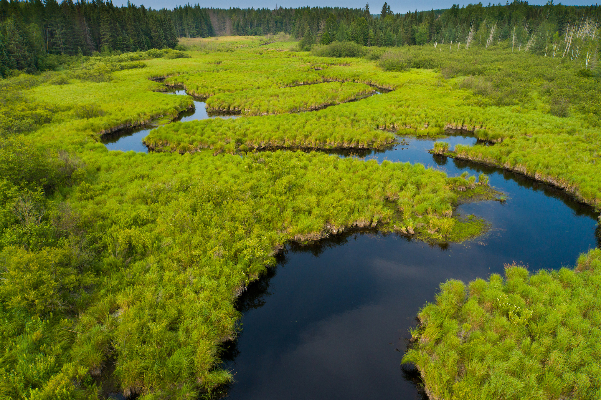 Aerial view of the Pelican River Forest in northern Wisconsin
