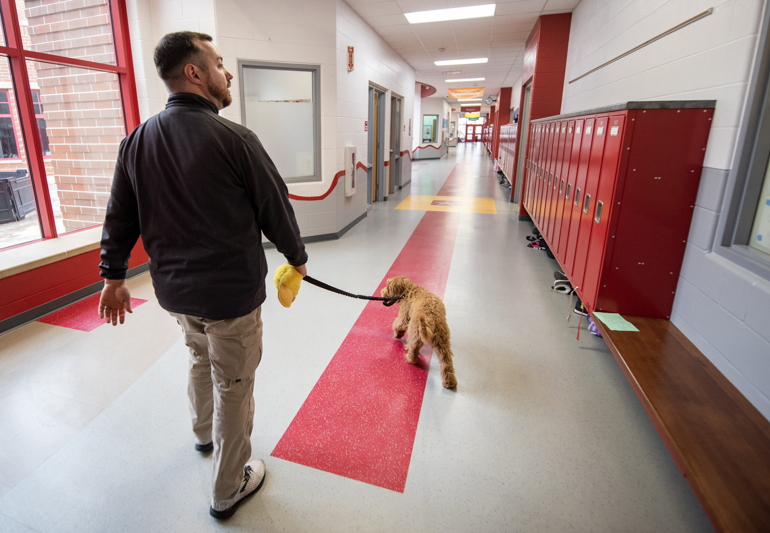 An officer walks a brown dog down a school hallway with red lockers.