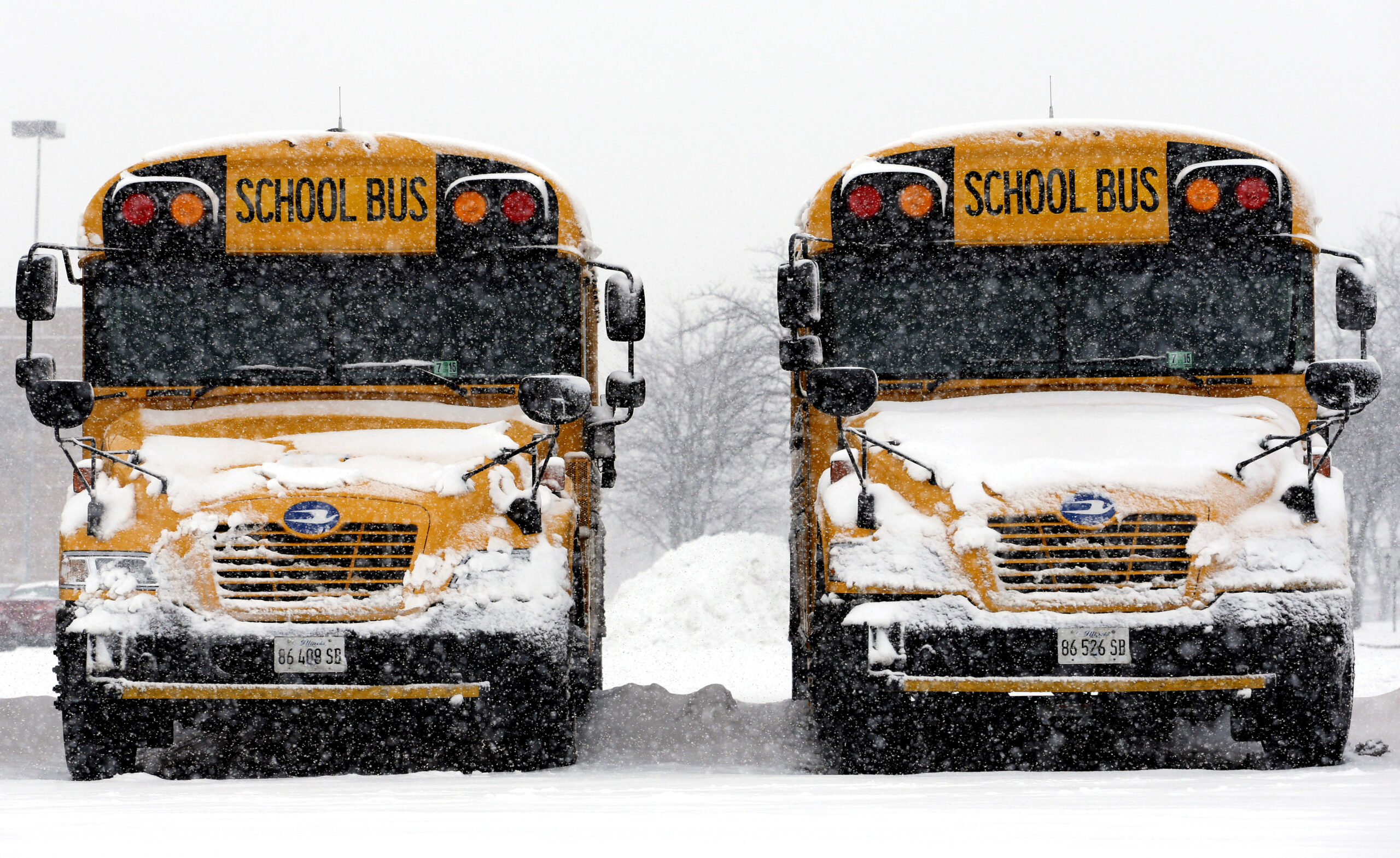 School buses are covered by snow.