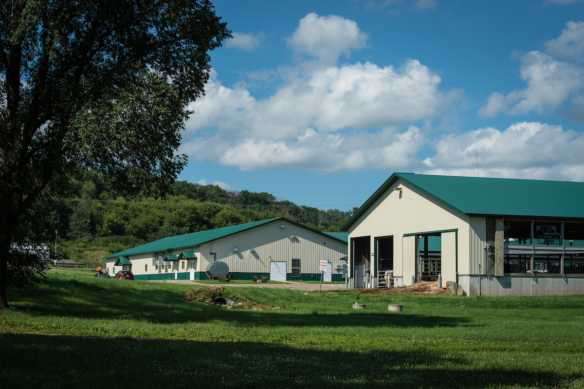The dairy barn at UW-River Falls' Mann Valley Farm