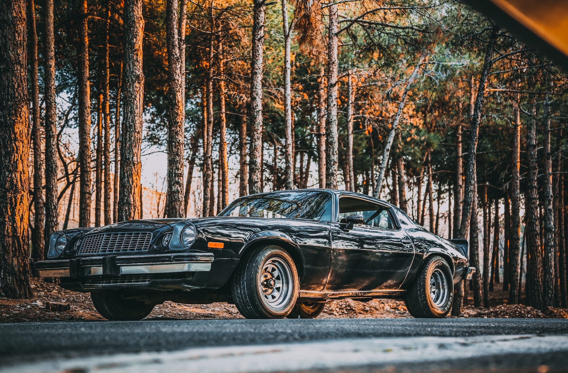 A black Camaro on a road next to trees