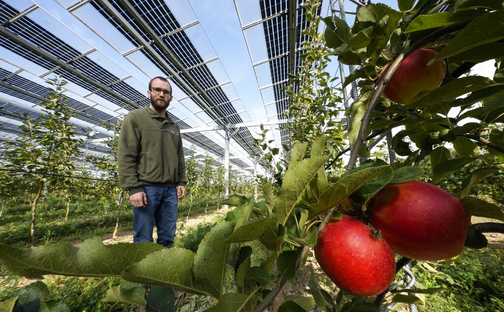 Wisconsin researchers are looking at ways solar and agriculture could coexist on the same land