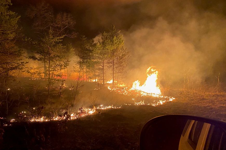 A wildfire burns forest land in Monroe County