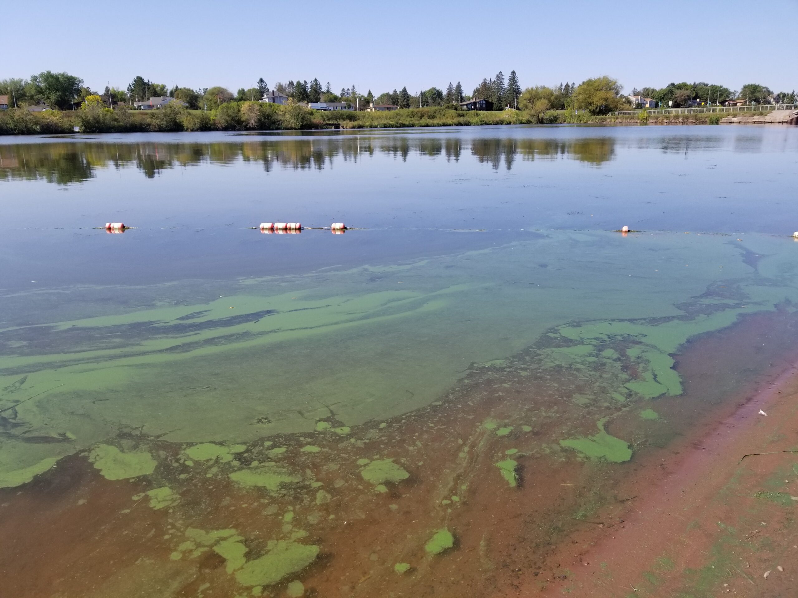 Water quality sampling effort in Lake Superior estuary targets emerging threats from harmful algal blooms