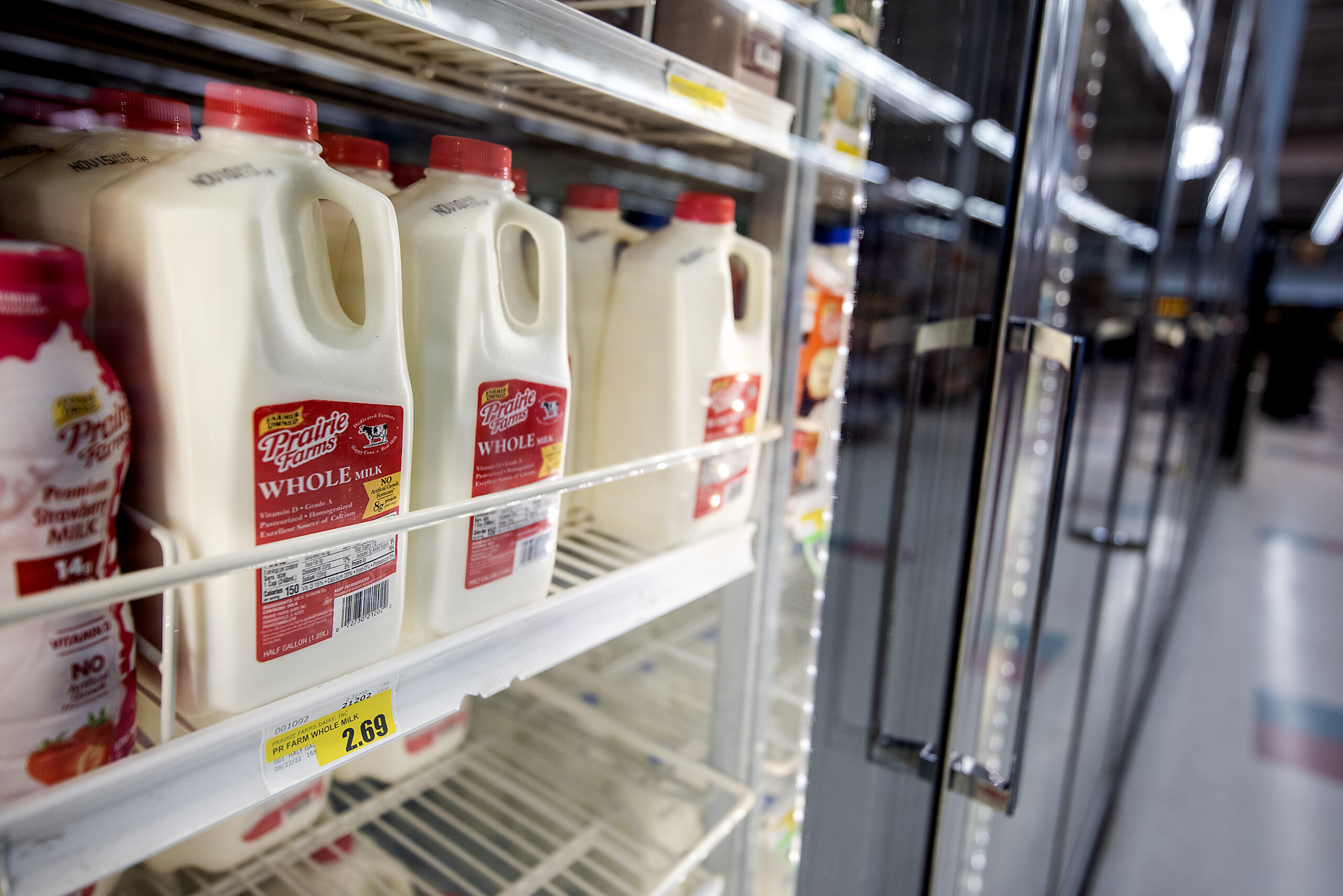 Half gallon cartons of whole milk with red labels are seen on a shelf behind glass.