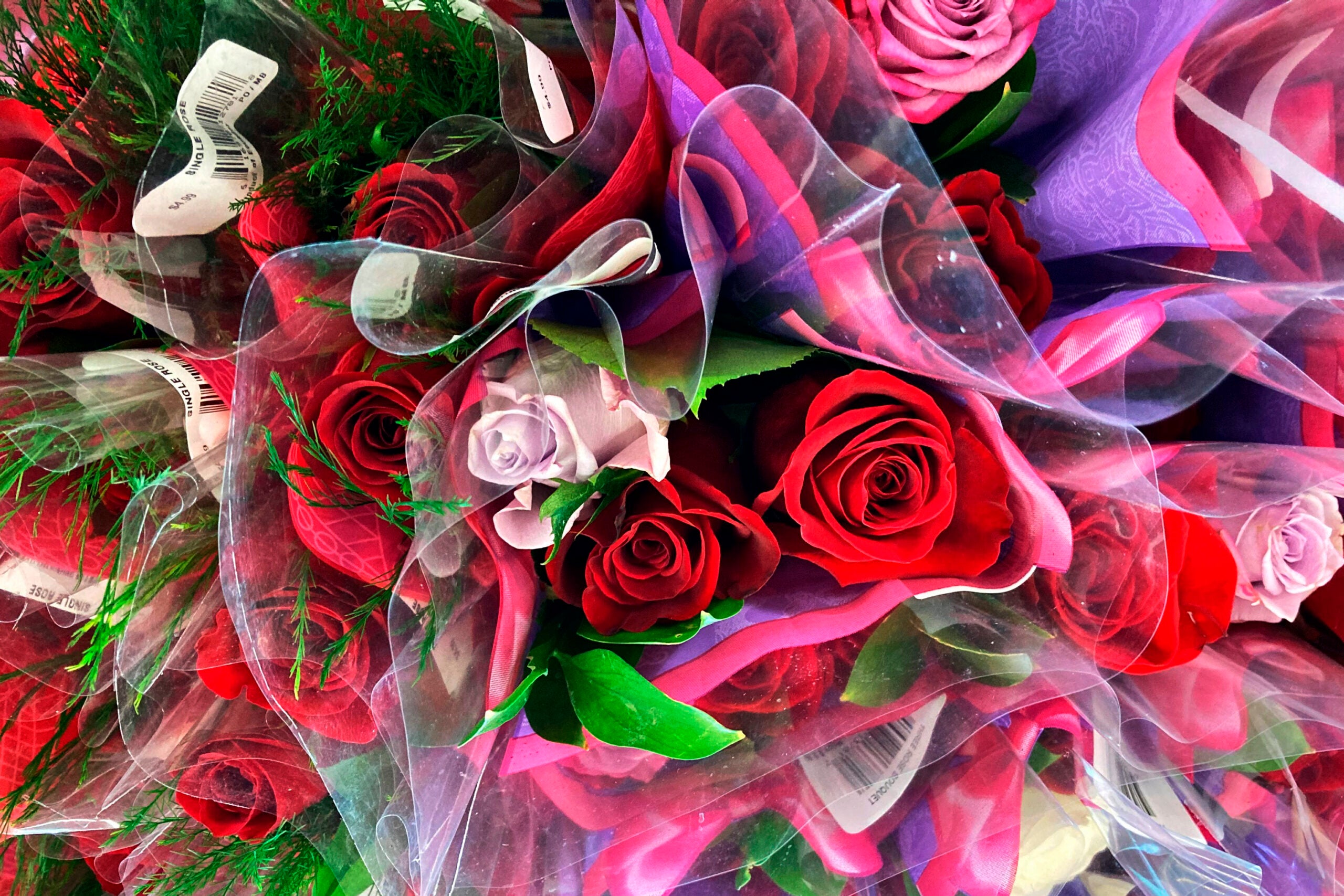 Several bouquets of flowers are bunched together.