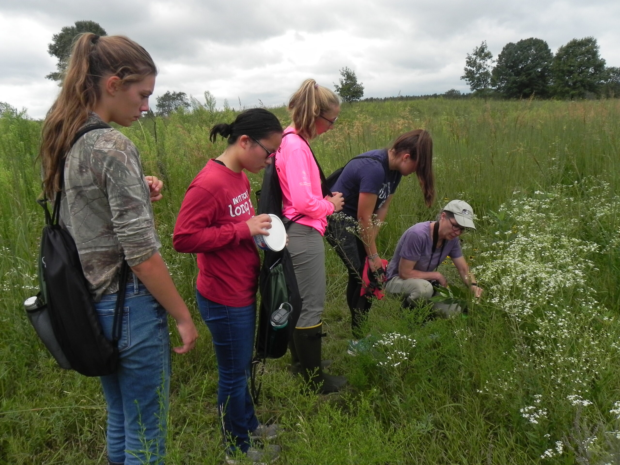 Karen Oberhauser with volunteers in a field looking for eggs and caterpillar to help track the monarch butterfly population