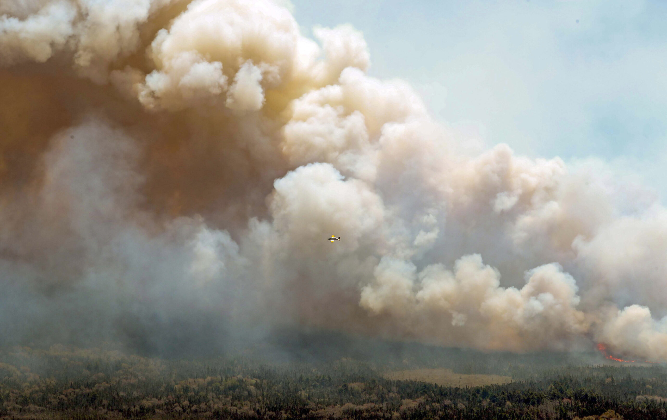 smoke billows above a forest. a plane is flying through the smoke