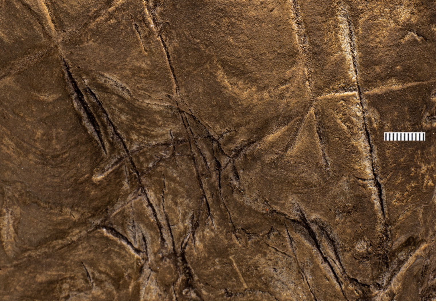 Lines carved into stone on cave walls near Homo naledi burial sites.
