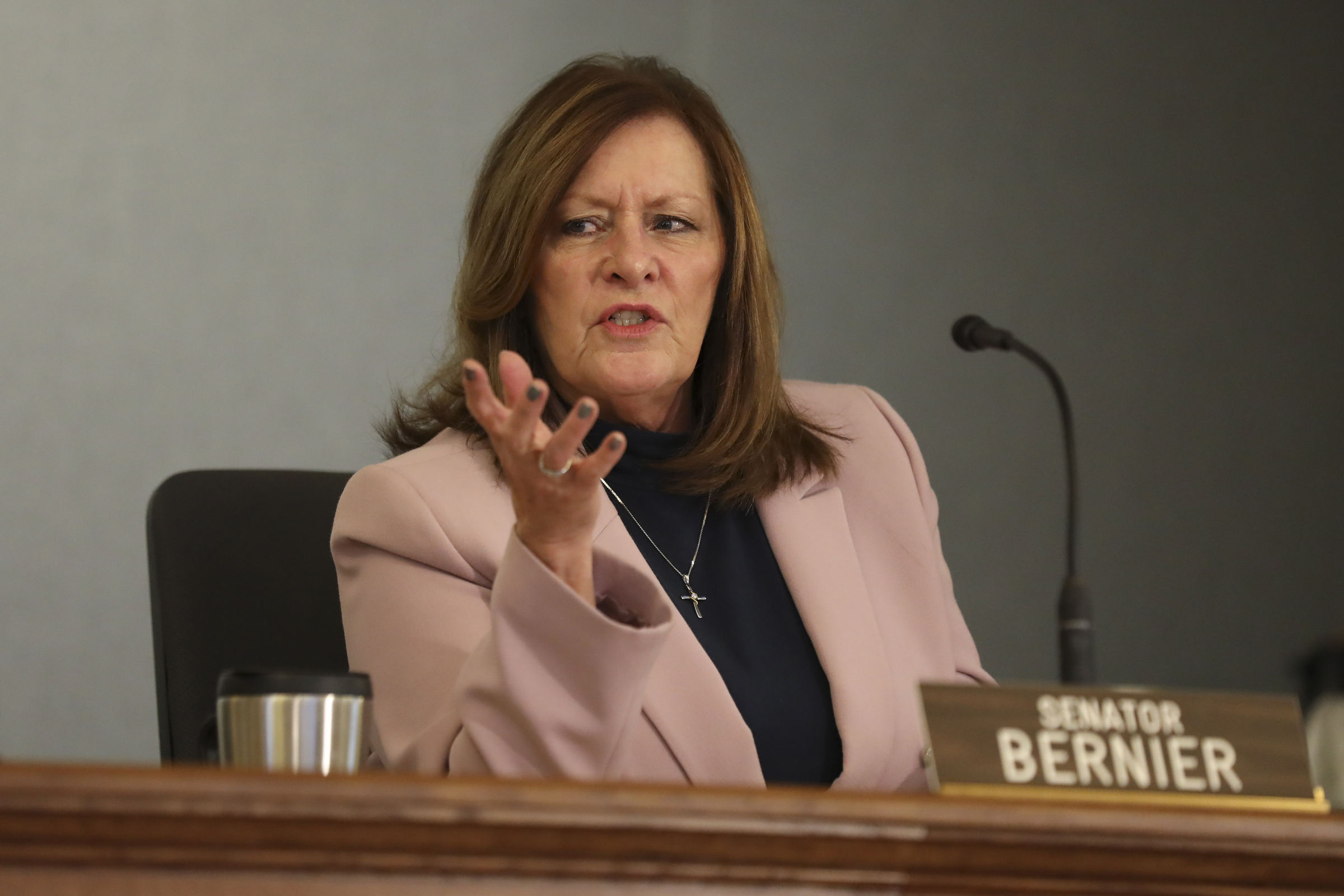 State Sen. Kathleen Bernier, R-Chippewa Falls, speaks during a media briefing