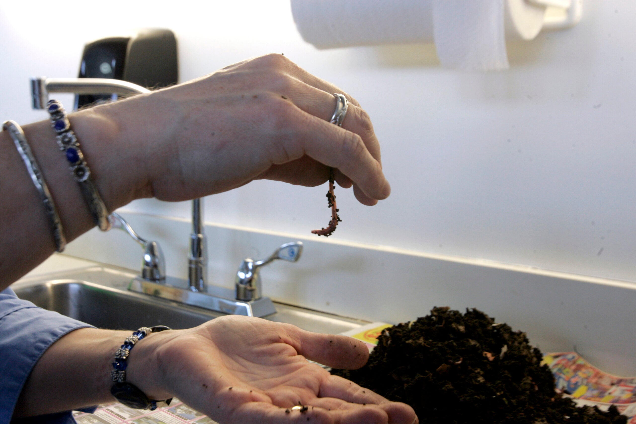 A hand holding a worm above a compost pile