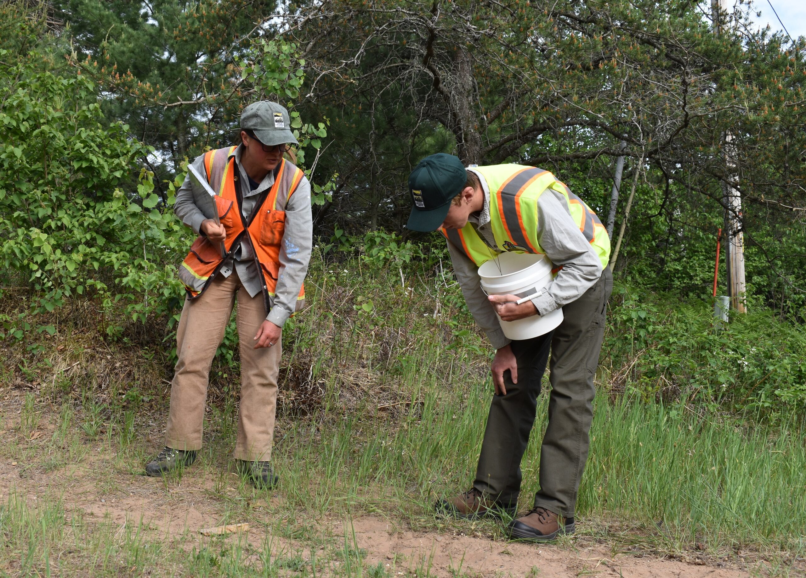 Conservation biologists Carly Lapin and Keegan Huntinger survey the site of a wood turtle nest