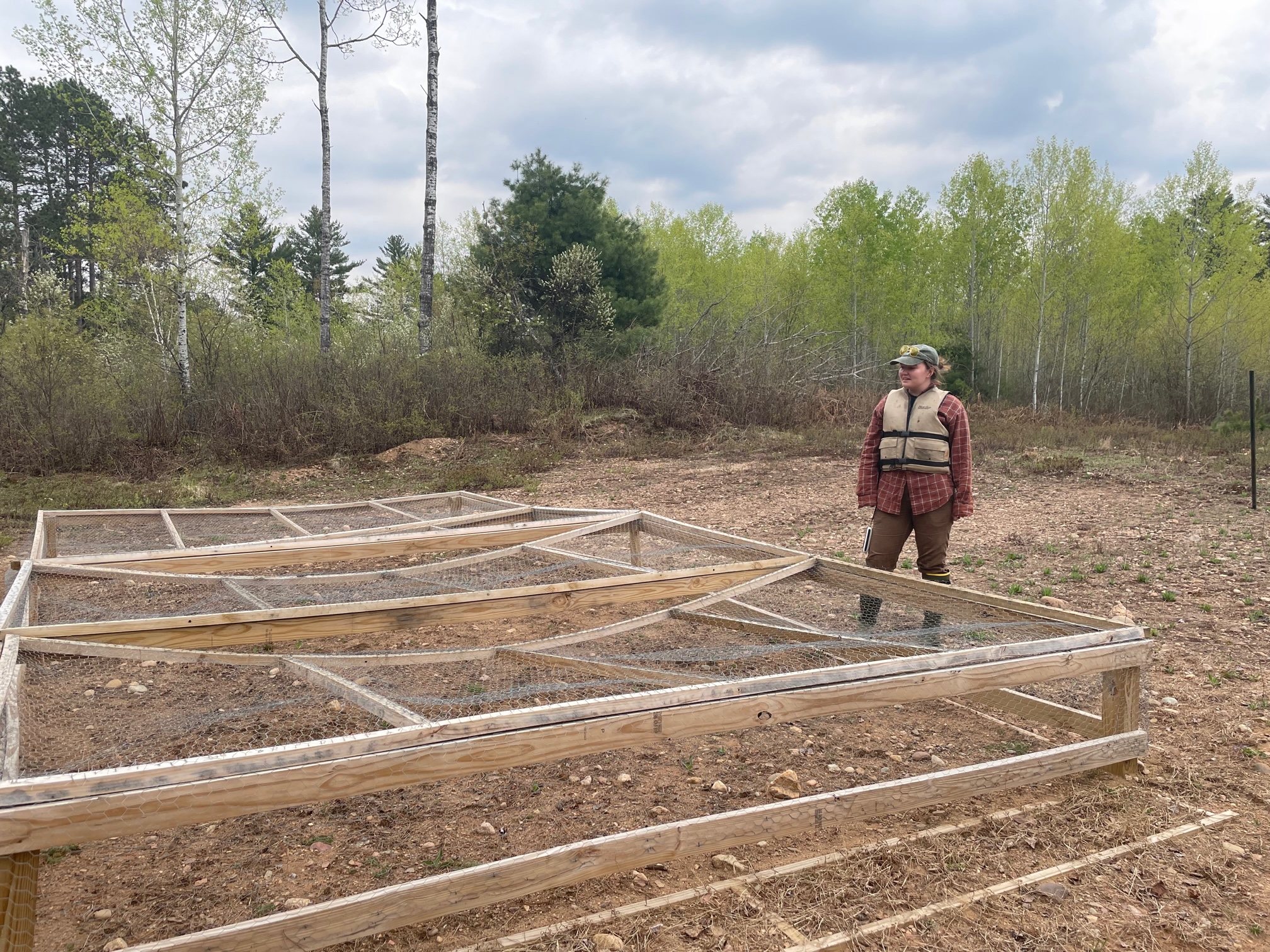 Conservation biologist Lena Carlson shows an enclosure created to protect the nests of wood turtles in the Northwoods of Wisconsin