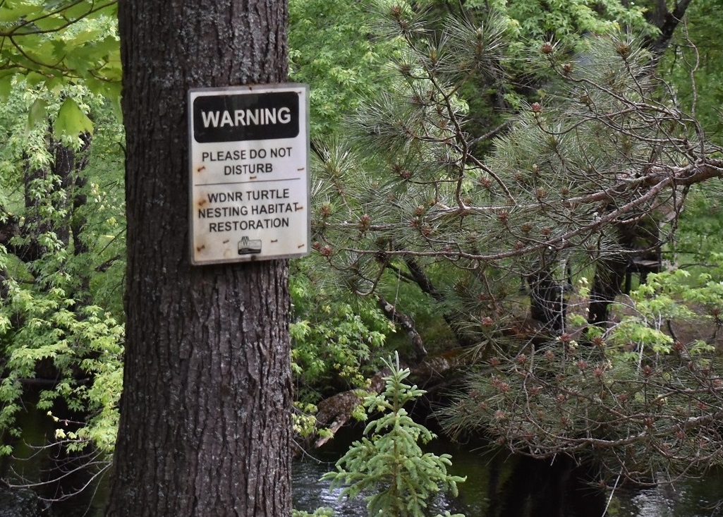 A sign asks visitors not to disturb the nesting site of the threatened wood turtle.