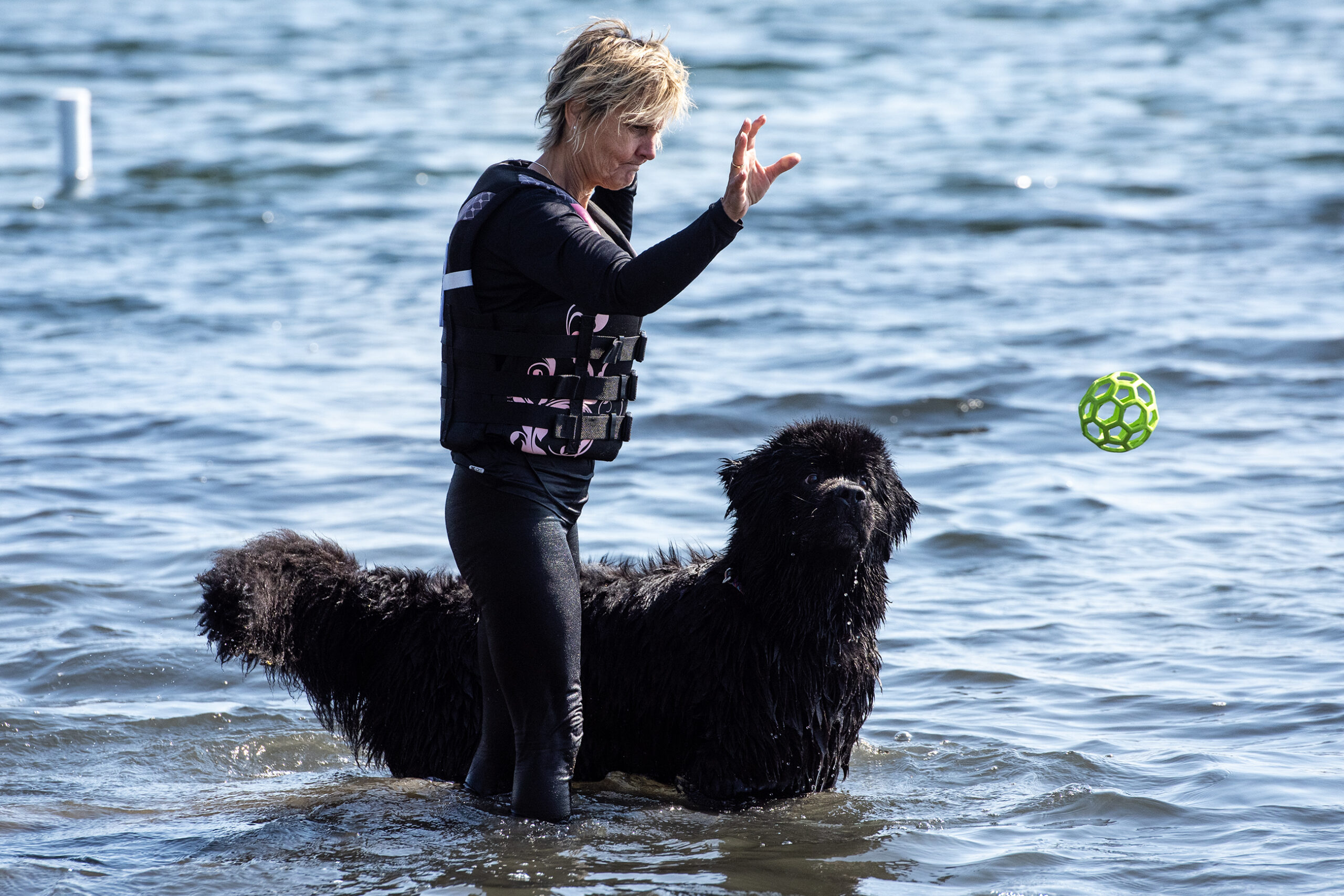 A dog handler throws a green ball into the water as a dog watches.