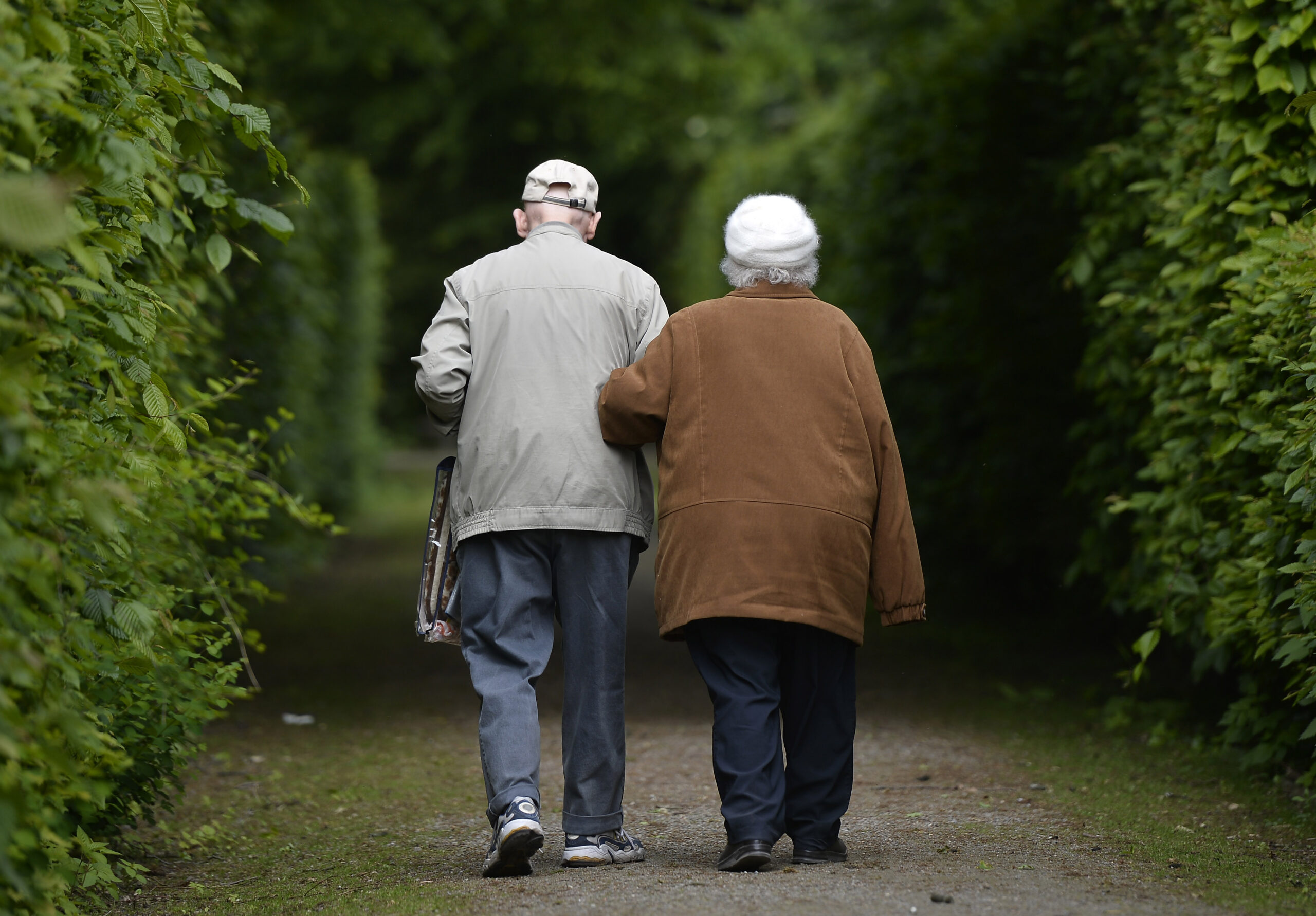 Two older people walk down a hedged trail with their backs to the camera.