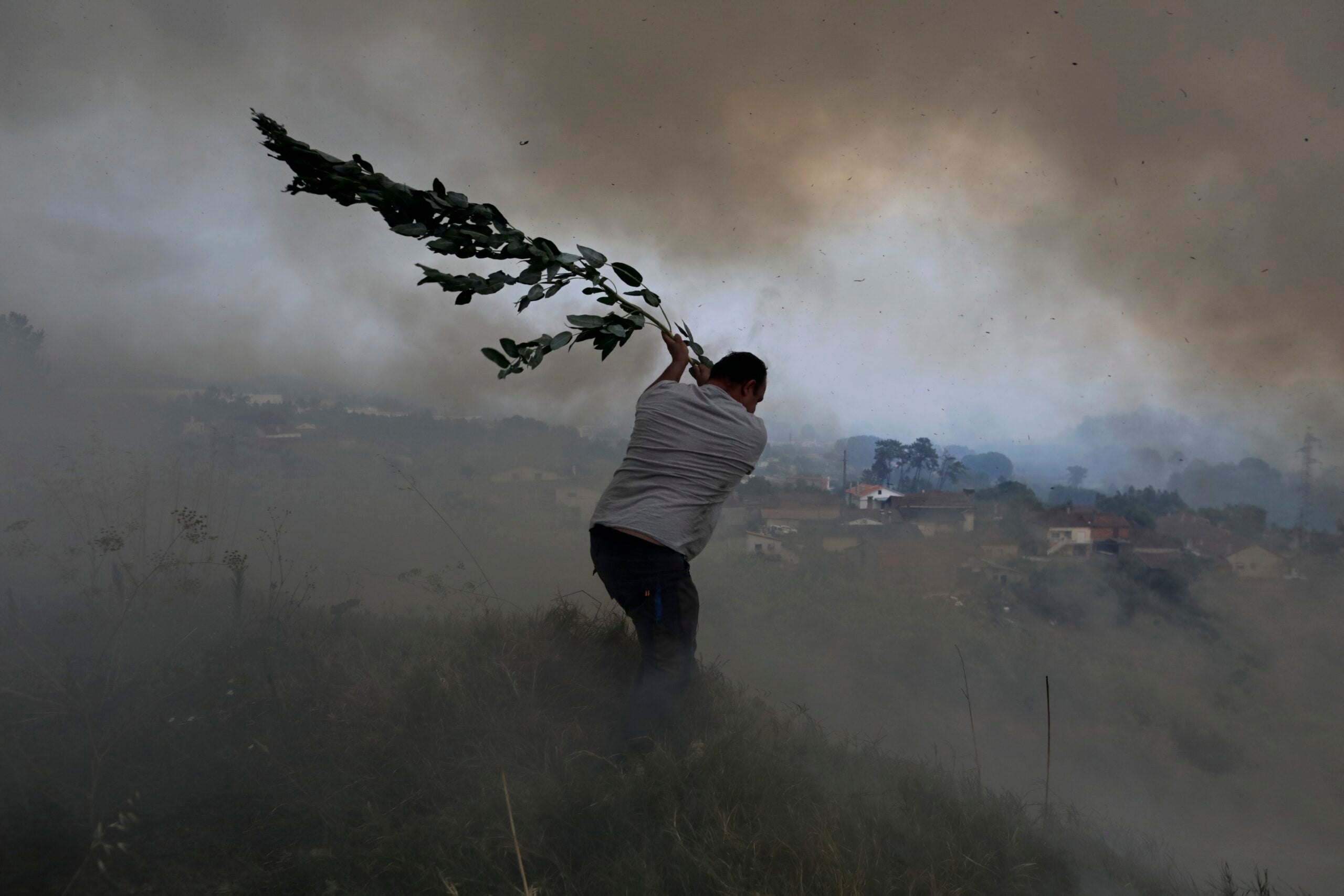 A person using a tree branch to try to stop a wildfire from spreading