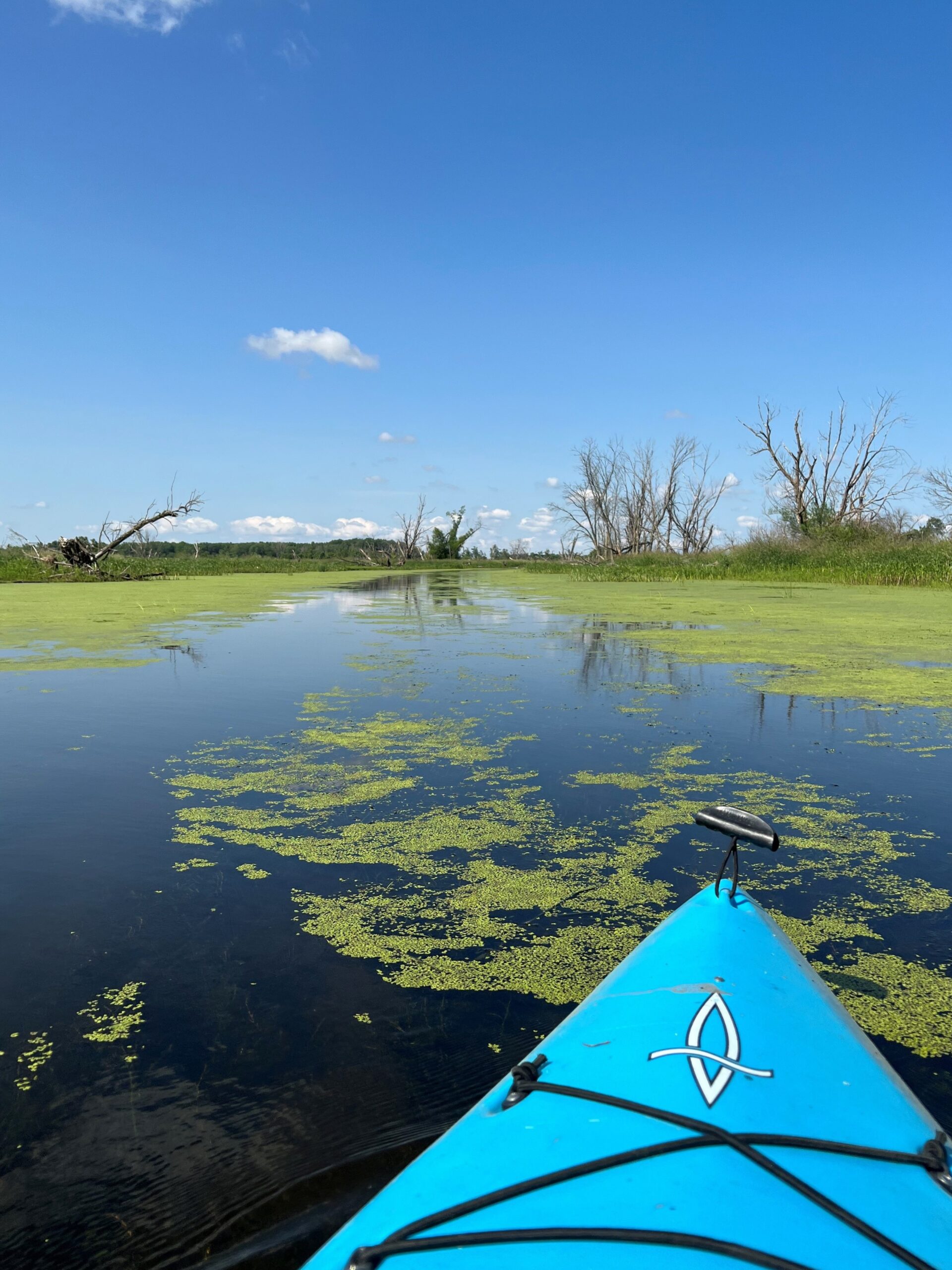 Prince's Point Wildlife Area