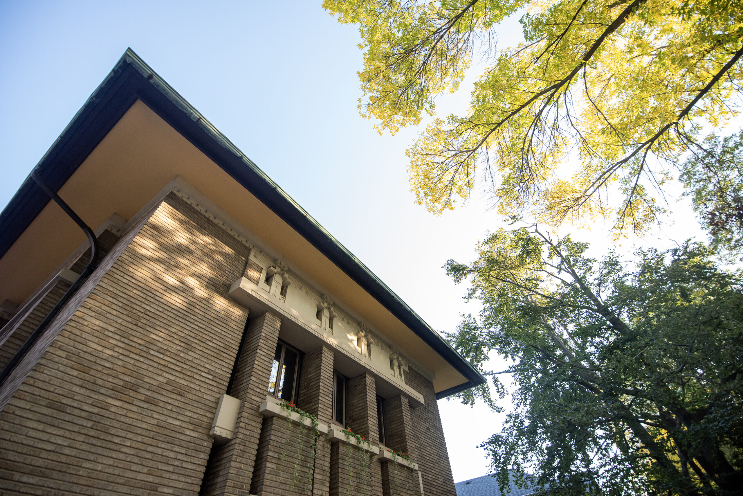 An upward look at the house showing yellowing leaves in trees.