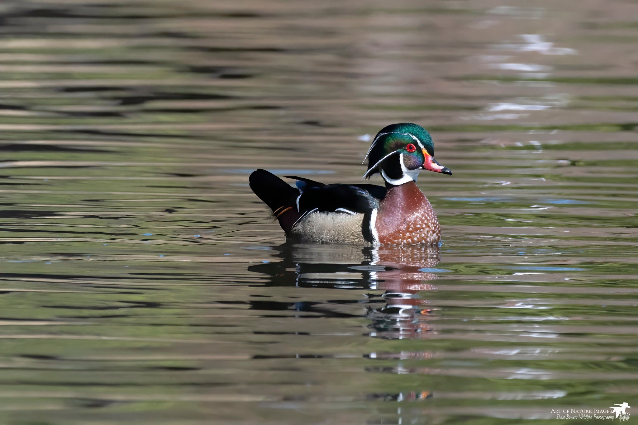 Keeping up with Wisconsin’s waterfowl during this year’s hunting season